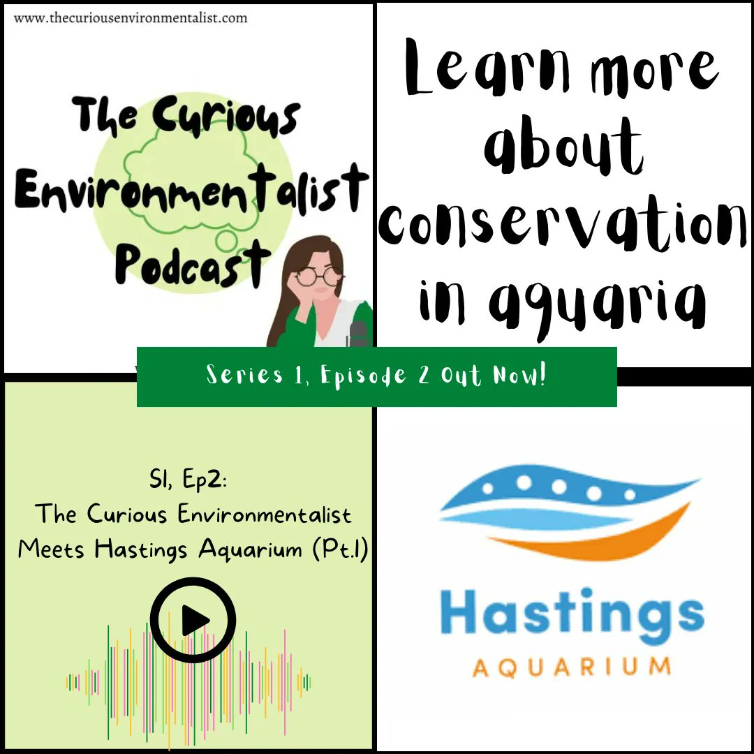curiousenviron's tweet photo. #TheCuriousEnvironmentalistPodcast Series 1, Episode 2 out now! 
Have you listened yet? 
https://t.co/tLoDgSarZY 
#ConservationPodcast #ScienceCommunications #SciComm #NaturePodcast #LetsTalkScience https://t.co/Vj78KHo5Vr