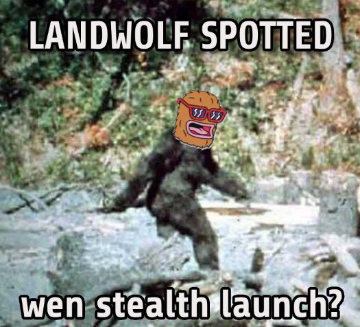 wolf2_eth's tweet photo. #WOLF2.0 will be launched at 13:00 UTC on July 12

If you miss $WOLF and $PEPE, then #WOLF2.0 is your wisest choice.

Tg：https://t.co/FvncJdyGfD
Twitter: @wolf2_eth

Ca：0xBA13383C14A7Afec0eA69af27EC55C7dA82aCD3C https://t.co/qEQBLyskV3