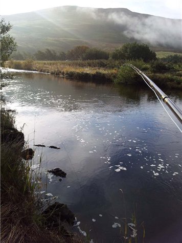 FishPal's tweet photo. Have you fished the Tweed tributaries - the River Ettrick and Yarrow? 👇🎣

The Middle Ettrick Water nestles and winds its way some 12 miles from the March Pool passing through the enchanting Ettrick Valley. 

Book your trip to the Ettrick via #FishPal 👇
https://t.co/hIaRHAaLNc https://t.co/T5ryE1tHhZ