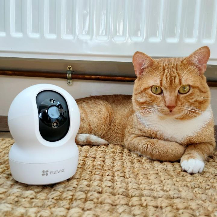 EZVIZ_Global's tweet photo. Can't wait for a purfect weekend! π±
.
Image credit: @garfieldthepuffy from Instagram
Tag #EZVIZMoment to share the cuteness!
#EZVIZ #CP1 #EZVIZforPets #EZVIZLife #petcamera #pet #pets #petlover #petscorner #petmoments #petdetection #petinfluencer #indoorcamera #catsoftwitter https://t.co/xLzCgDOQQq