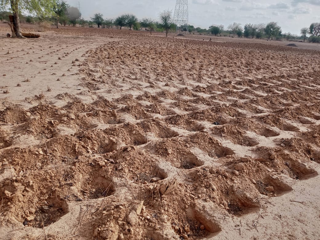Agronome du Faso🇧🇫 tweet media