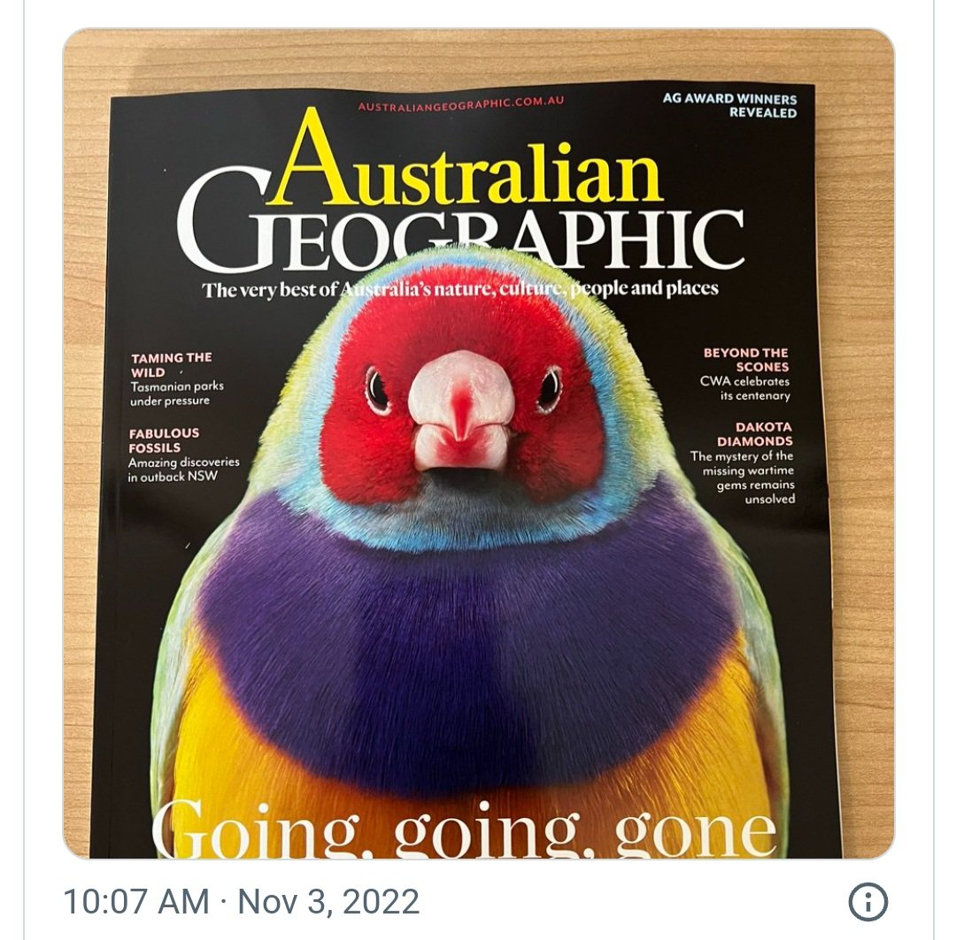 idahanks8's tweet image. Dear #TheDrum 
thankyou for 
FINALLY bringing some awareness to 
#SaveLeePoint
#Binybarra
The endangered Gouldian FINCH'S
lives are now under huge threat and are at great risk of becoming extinct. Time is overdue for this to be on the news. @SBS ?
@abcnews ?