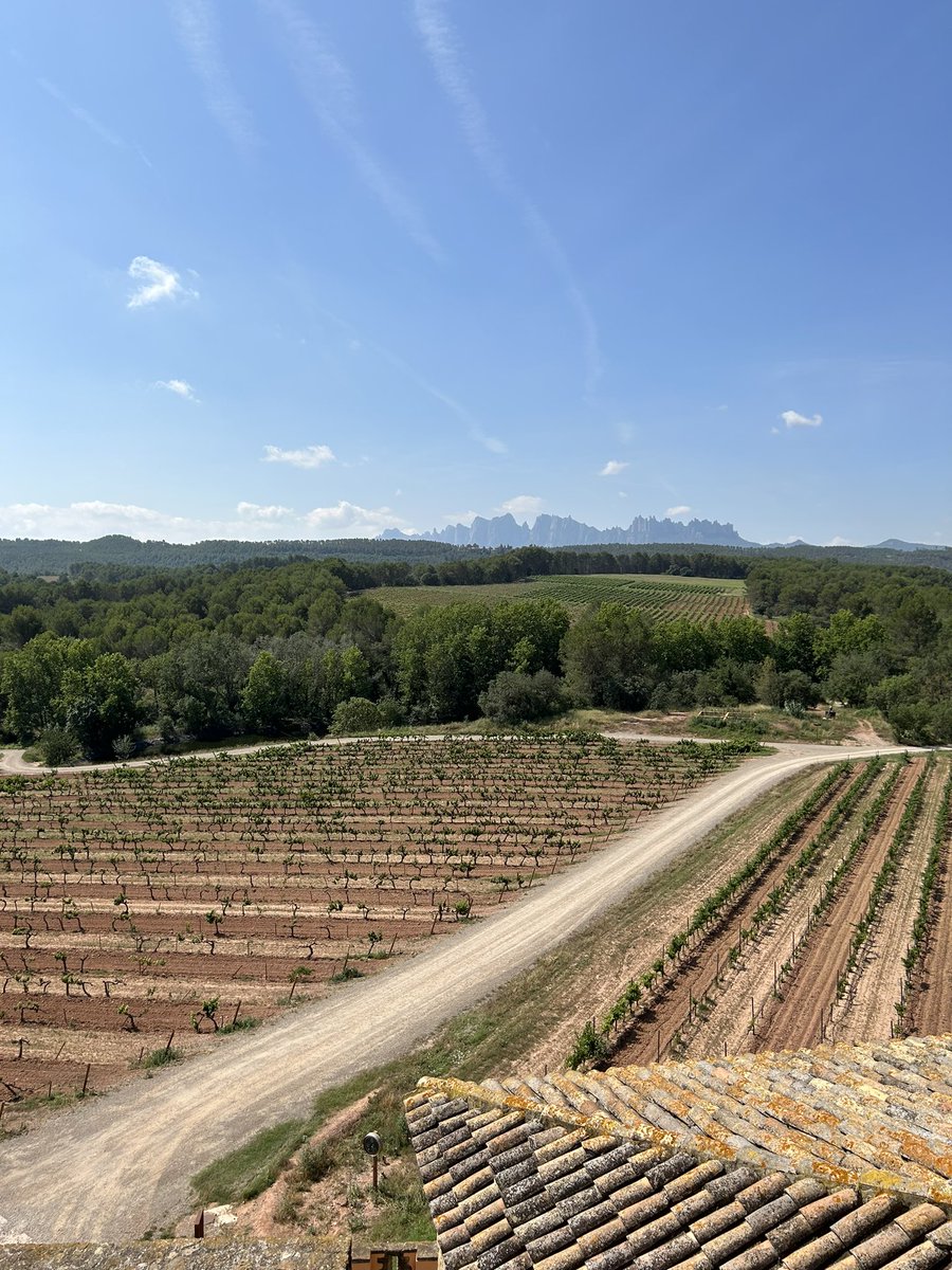 OllerdelMas's tweet photo. Dies assolellats des del Castell del Segle X ☀️
#historia #oller #familia https://t.co/HCk50lGZei