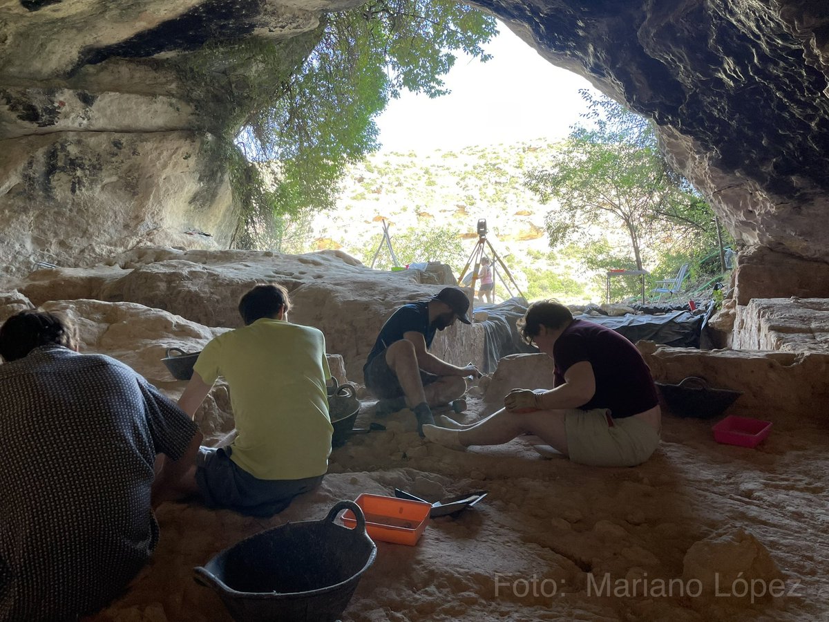 MarianoVLopez's tweet photo. Continuamos a buen ritmo en #CuevaNegra23 #Caravaca. La excavación del nivel 2f nos está ofreciendo hallazgos muy interesantes tanto en fauna como de industria lítica. https://t.co/2i4I69pB8E