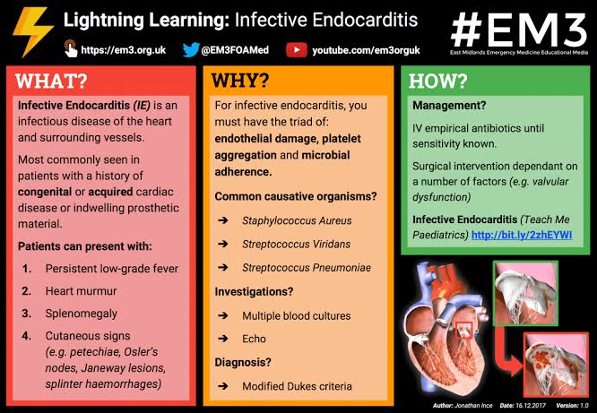MahmudulMedico's tweet image. Infective Endocarditis

Infectious endocarditis is the inflammation of the endocardium, the inner lining of the heart, as well as the valves that separate each of the four chambers within the heart

. It is primarily a disease caused by bacteria