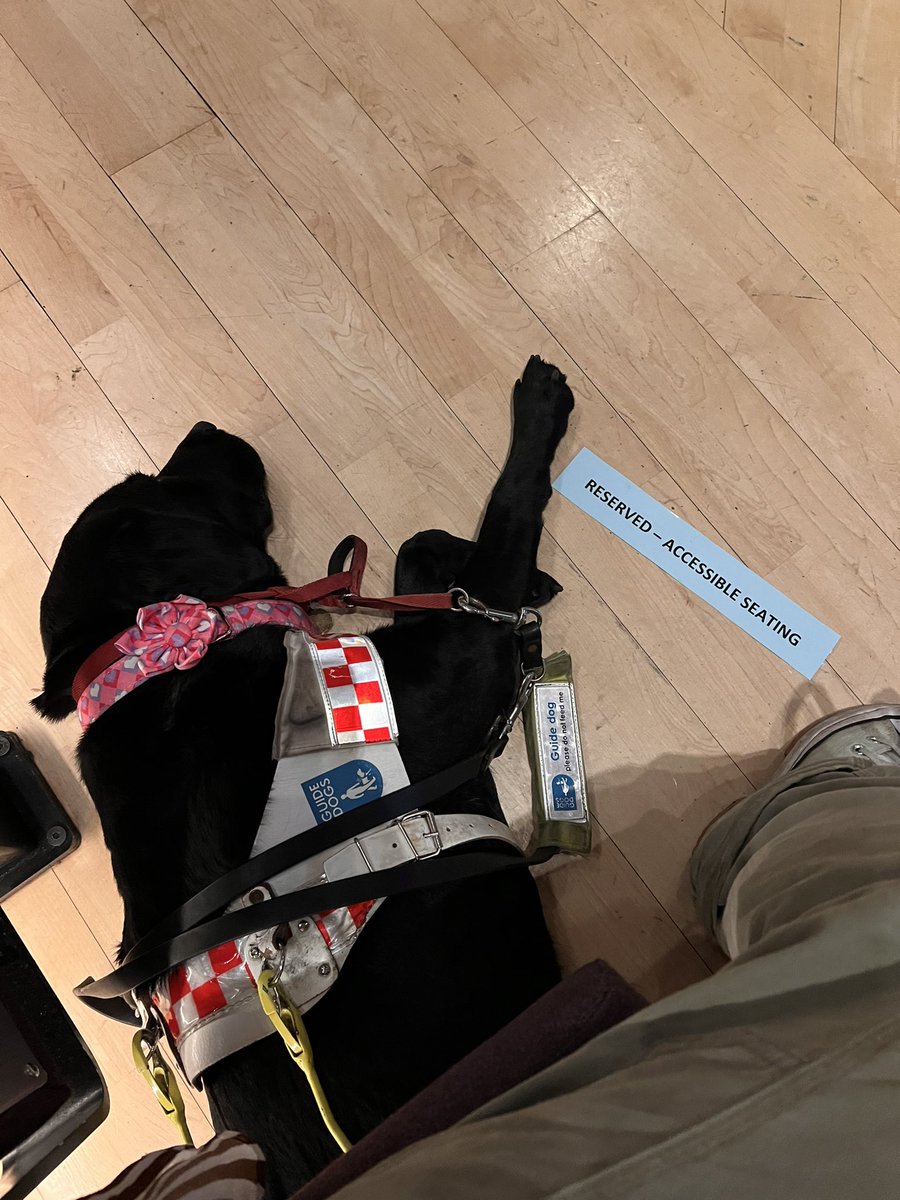 MollyWattTalks's tweet photo. The day has come! #CampDigital - we’re parked in accessible seats at a comfortable distance from the screens with live captions. We love to see it!

Polite reminder for all fellow CD tweeters - add your alternative texts!
@Nexer_Digital https://t.co/PL1xfMhRAa