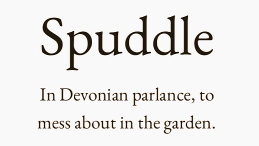 arealmofwonder's tweet photo. Interesting Words 🌿

Pick your winner. 💫

A B
C D

(Follow for the next batch) https://t.co/LEUTnDJ07o