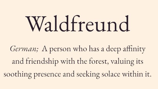 arealmofwonder's tweet photo. Interesting Words 🌿

Pick your winner. 💫

A B
C D

(Follow for the next batch) https://t.co/LEUTnDJ07o
