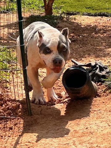 Meet my new baby I can trust her than every one