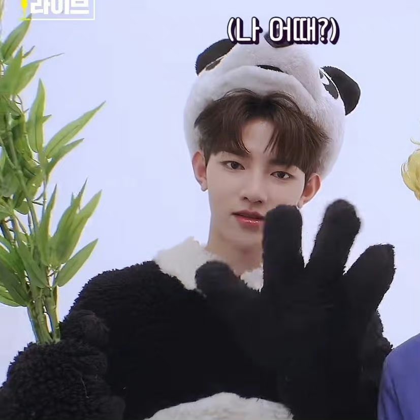 coohco_J's tweet photo. 부하오
🐼🐼🐼

#장하오 #章昊 #ZHANGHAO #ZB1_InBloom https://t.co/JxdZiNiGZt