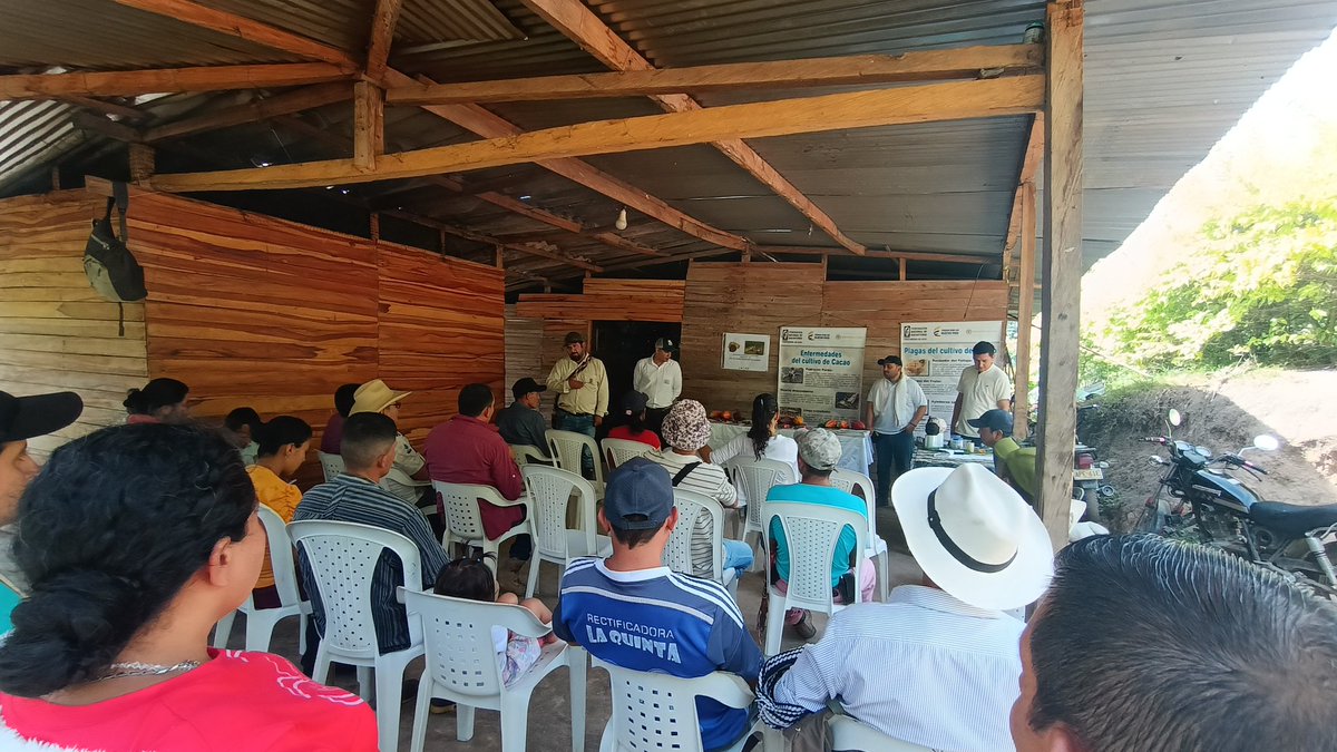 layton_06's tweet photo. Con éxito se desarrolló el día de campo por parte de #Fedecacao  #FNC el municipio de #Lourdes con productores comprometidos en mejorar sus cultivos
#fedecacao
#NorteDeSantander 
#Bancoagrario https://t.co/qDzvz1z522