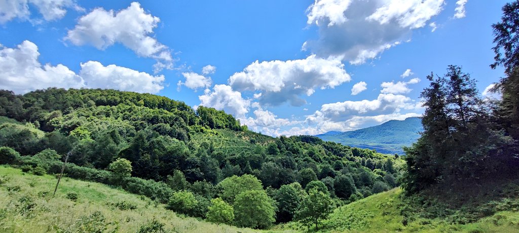 Çiçek böcek kuş sesi 🐛 #günaydın