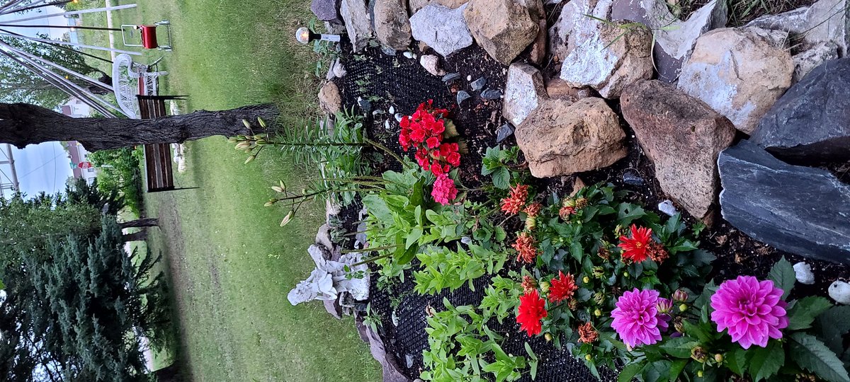 Here are some things that are #Growing.
#Plants #Vegetables #Flowers #Herbs #Northern #Manitoba #Peace #Relax #MentalHealthMatters #MentalWellnessMatters