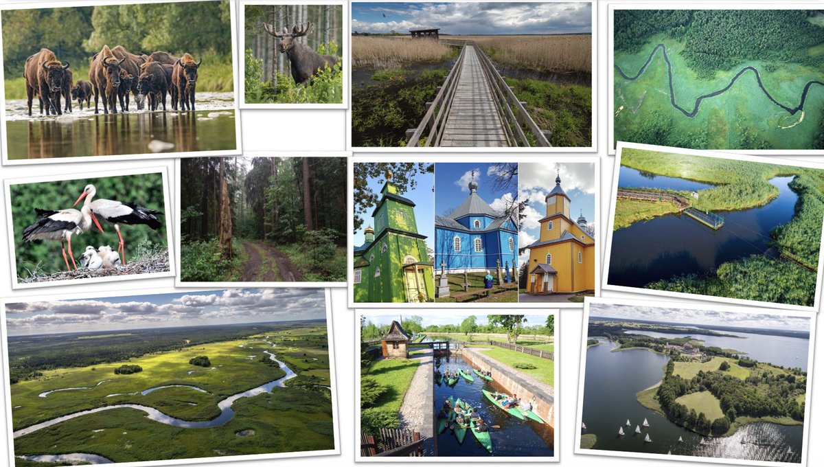 #N2MFinalEvent ⎮ time for our 4️⃣th partner results article!

Podlaskie Voivodeship​ (PL) has been working on developing #digital tools for communication with citizens and entrepreneurs.

Find out more ➡️ bit.ly/46JoFj1