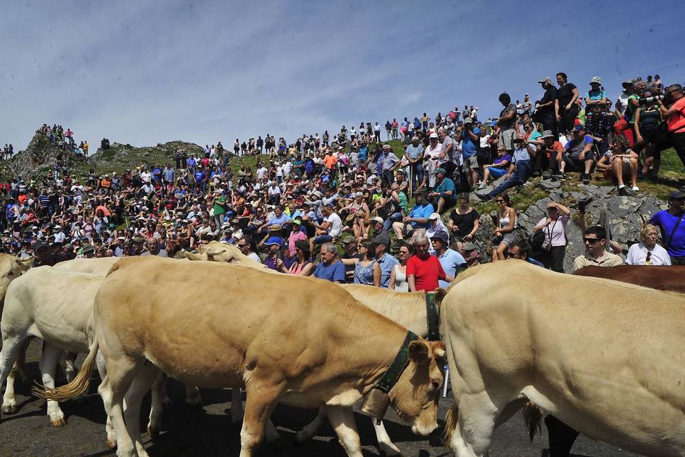 Albertofm20's tweet photo. Hola buenas, es 13 de julio y hoy España es 3 VACAS 🐮 MÁS RICA porque Francia se las da ¿Por qué?

Veamos el Tributo de las Tres Vacas 

[Abro minihilo] https://t.co/FbMbwSSpLb