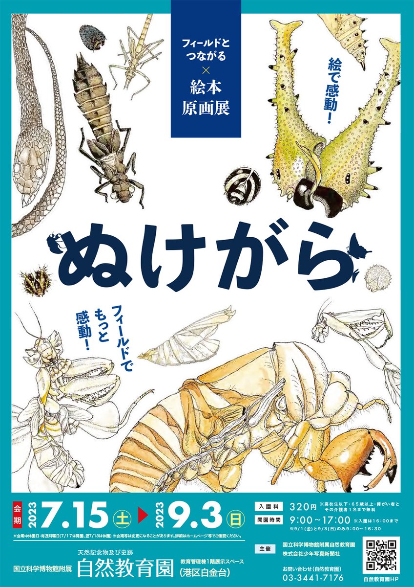 📢#附属自然教育園 ✨7/15より開催✨ いよいよ始まります！大人も子供