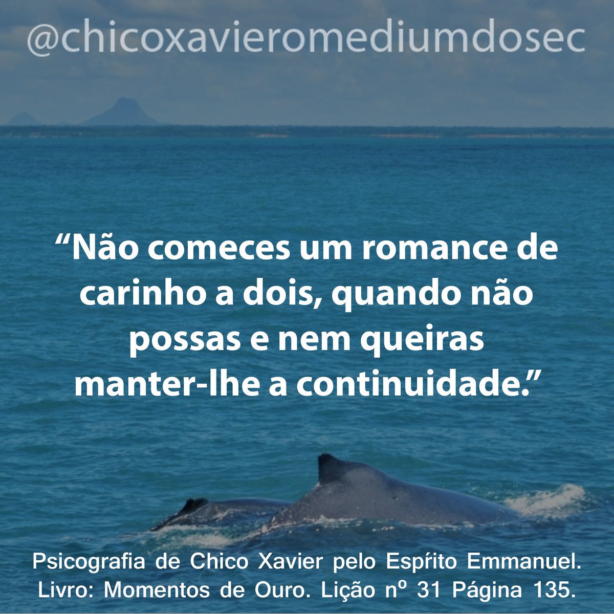 chicoxavmedium's tweet photo. Um tipo de auxílio raramente lembrado: o respeito que devemos uns aos outros na vida particular.

Caro é o preço que pagamos pelas lesões afetivas que provocamos nos outros.

#chicoxavier #omediumdoseculo https://t.co/RSUOaPckUA