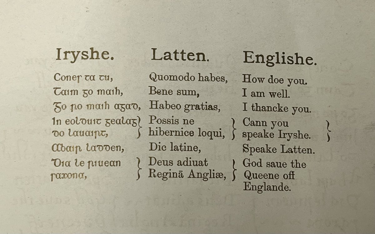 DCU Special Collections & Archives tweet media