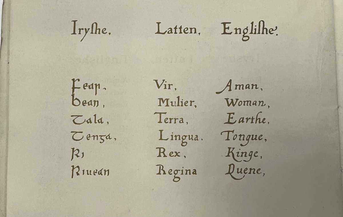 DCU Special Collections & Archives tweet media