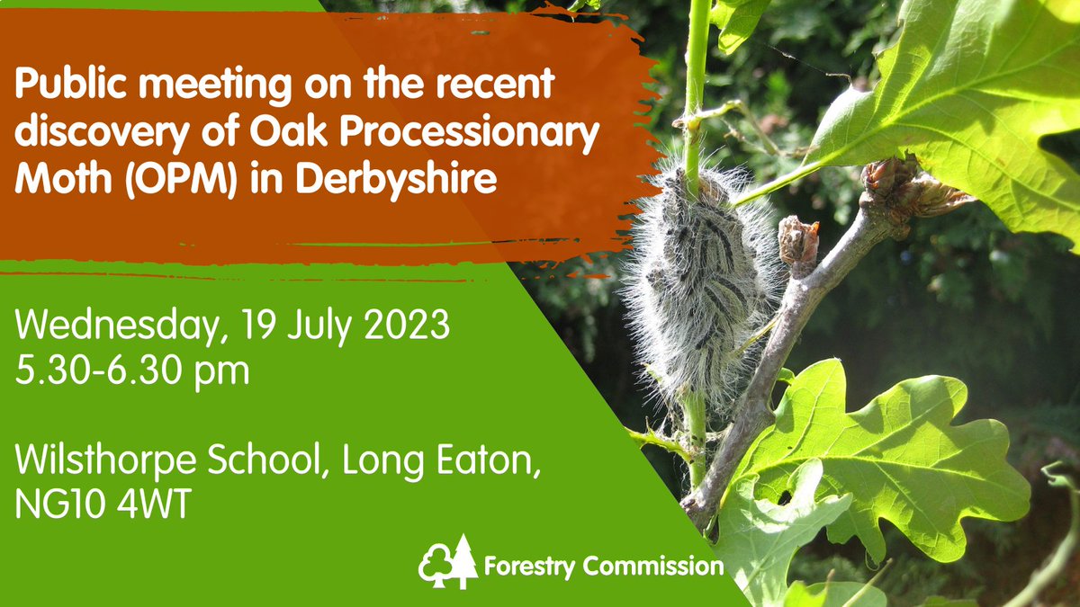 ForestryComm's tweet photo. Do you live near Long Eaton and want to find out more about the recent discovery of Oak Processionary Moth in your area?
 
We’re holding a public meeting on 19 July for members of the local community to hear from our OPM Operations Manager.
 
Find details of the event below ⬇️ https://t.co/HIvXoE2zUI