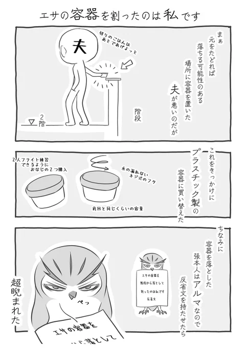『エサの容器を割ったのは私です』(2/2) #ふくろうな関係 #漫画が読めるハッシュタグ