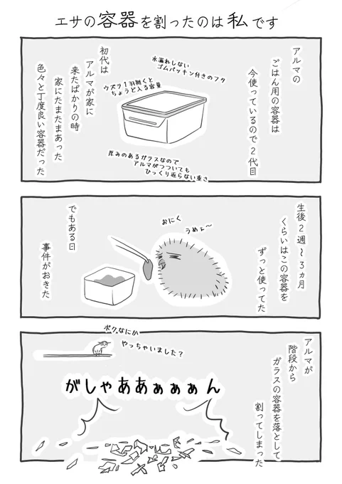 『エサの容器を割ったのは私です』(1/2) #ふくろうな関係 #漫画が読めるハッシュタグ