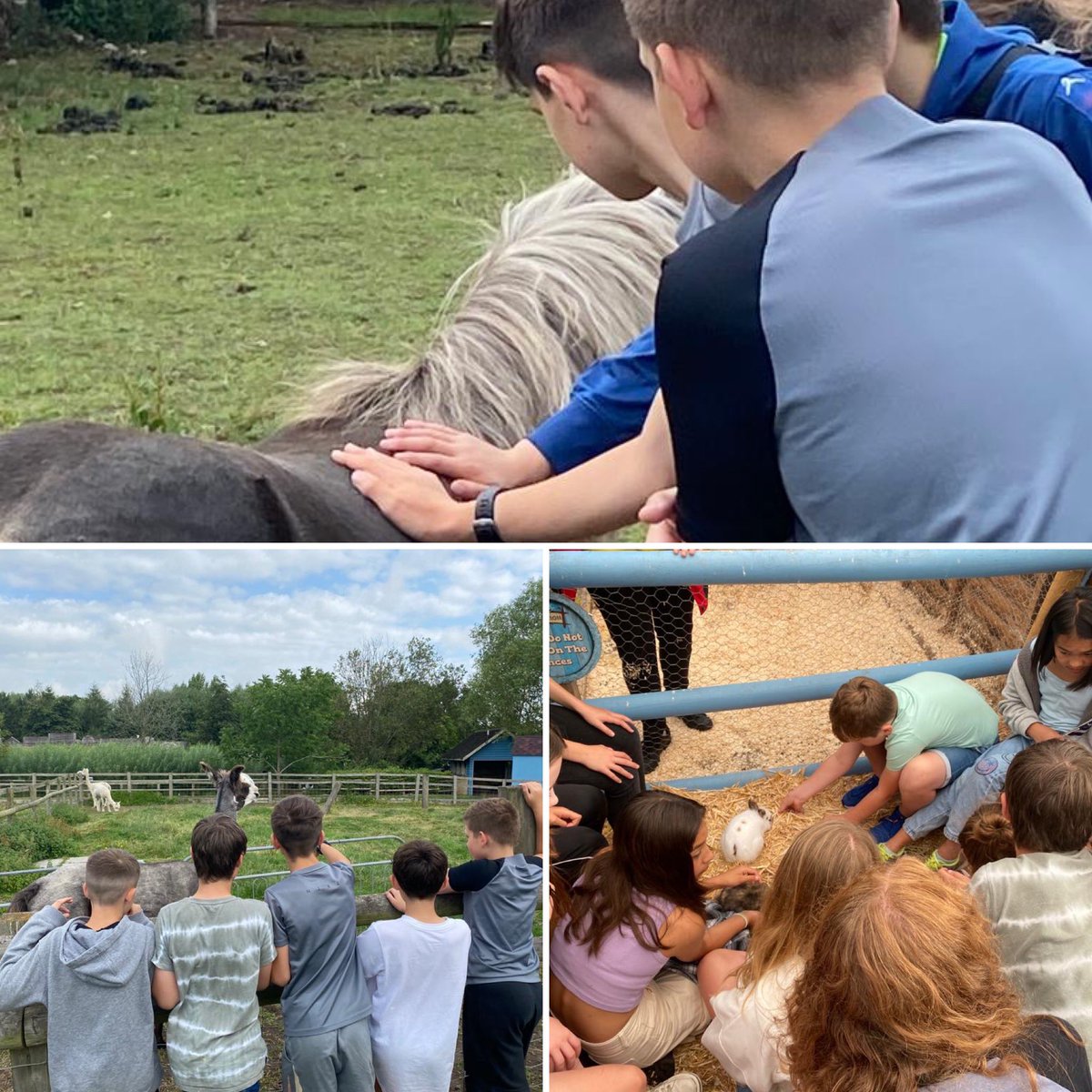 Walgrave Primary School tweet media