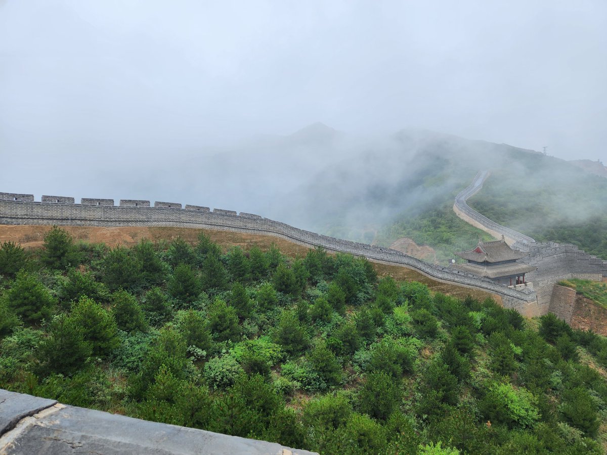 张小凡（互fo） tweet media