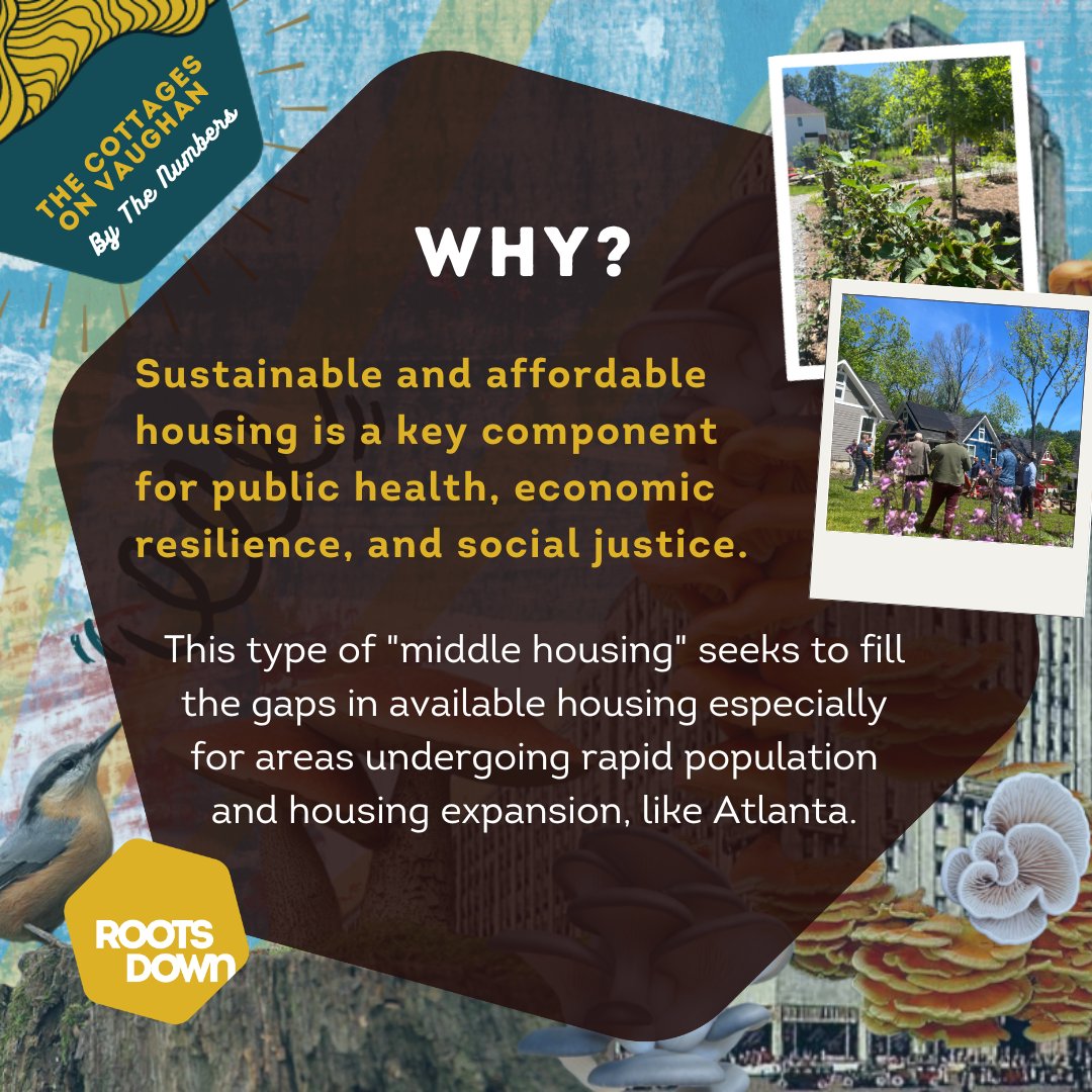 Roots Down tweet media