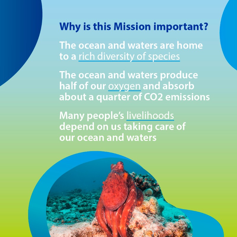 HorizonEU's tweet photo. 🙌The just voted Nature Restoration Law is an important milestone also for #MissionOcean that aims to restore our ocean &amp; waters by 2030! 🌊❤️

Among the objectives, the Mission aims to protect &amp; restore marine and freshwater biodiversity and ecosystems.

Find out more 👇