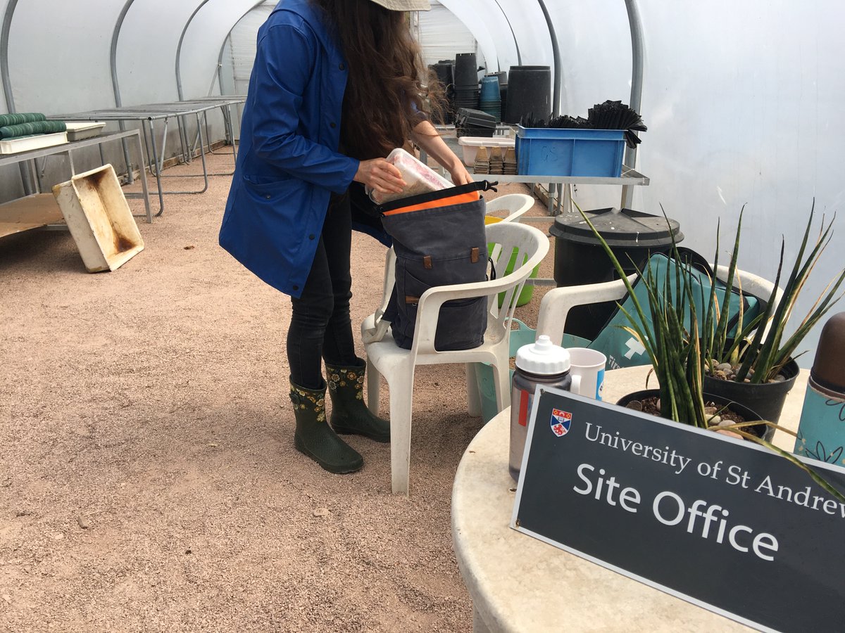 greenshores1's tweet photo. Plant Hub and Site Office, the polytunnel is working hard.
Plus it is the location for tea break. I forgot to get a photo of the delicious strawberry slice one of the volunteers brought to share yesterday.
#Saltmarsh #HabitatRestoration #SiteOffice #Volunteers #TeaBreak https://t.co/V18hkMUIfE