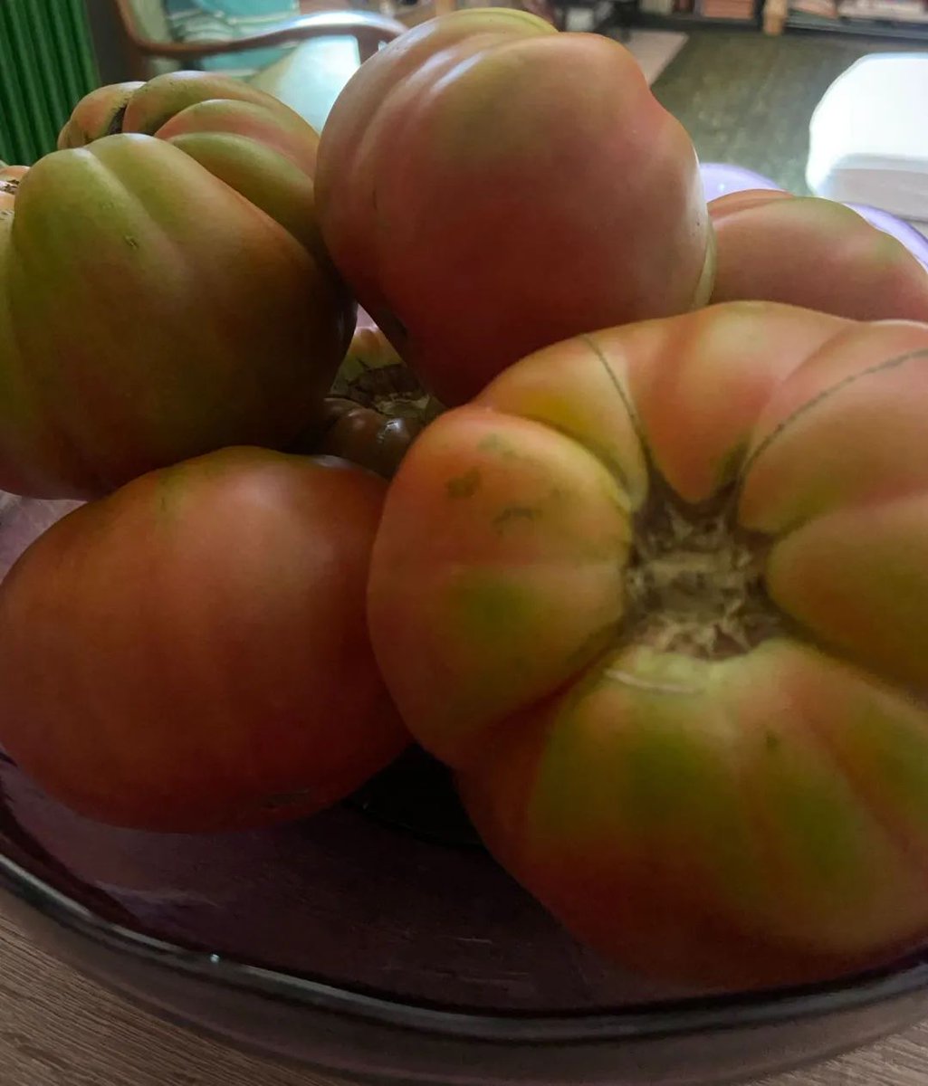 naranjasmarisa's tweet photo. "Así es" tomate con sabor a tomate de verdad, como los de antes, de sabor muy intenso y pulpa carnosa. 📷
¡¡Siiii!! 📷 📷
Los primeros que hoy están llegando a vuestras casas 📷
.
Del campo  a tú  mesa 📷 📷 📷 https://t.co/8qQT6rafsy