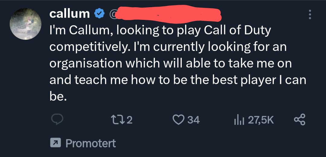 How's Twitter doing? Well, their ad model has degraded into a classifieds section 😂