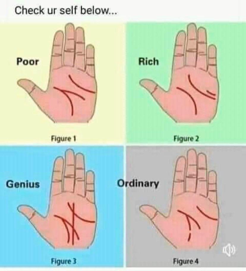 PulseNigeria247's tweet photo. Which category do you belong to? https://t.co/jsAiEB9r6c