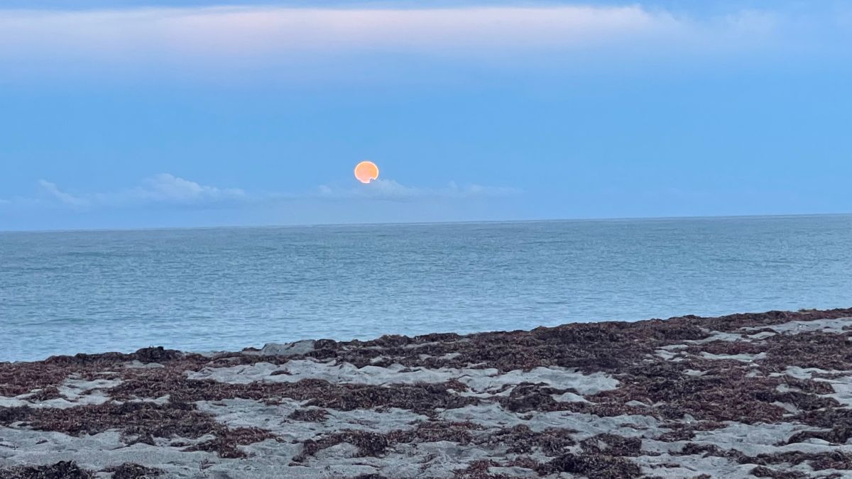 Needing a spark for mindful musings🎇Sorry for having nothing worthwhile to write about. Still, "You can't start a fire worrying about your little world falling apart." check out the many offerings mailchi.mp/5cd9c4caaefe/w…

#mindfulness #songs #songwriters #meditation #wellness