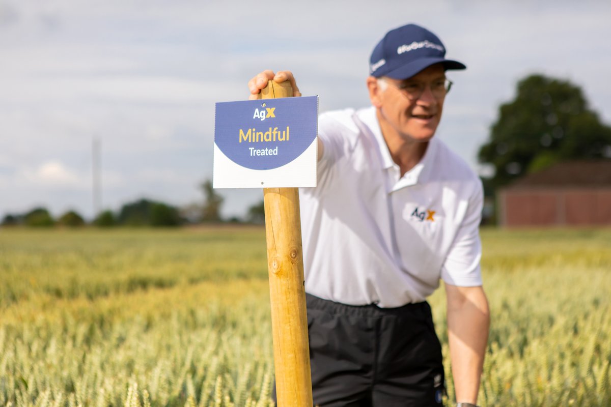 Mindful group 4 winter wheat, exclusive to Agrovista Seeds.

• Highest yielding variety in AgX for past two years
• Extremely high specific weight ensuring consistent yield 

Read more here: agrovista.co.uk/mindful 

#ForOurGrowers