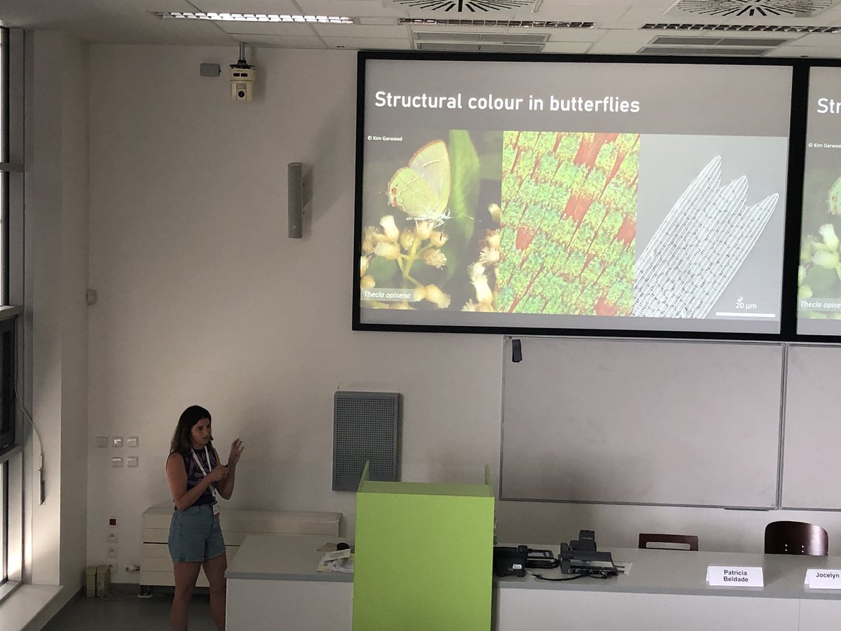 Fabio Cortesi (@fcortesi) on Twitter photo Look who I bumped into in Prague?
<a href="/aleejessop/">Annie Jessop</a> presenting her awesome postdoc work on the development of 🦋 structural colours. Shiny shiny scales ✨ #Bob2023 Look who I bumped into in Prague?
<a href="/aleejessop/">Annie Jessop</a> presenting her awesome postdoc work on the development of 🦋 structural colours. Shiny shiny scales ✨ #Bob2023