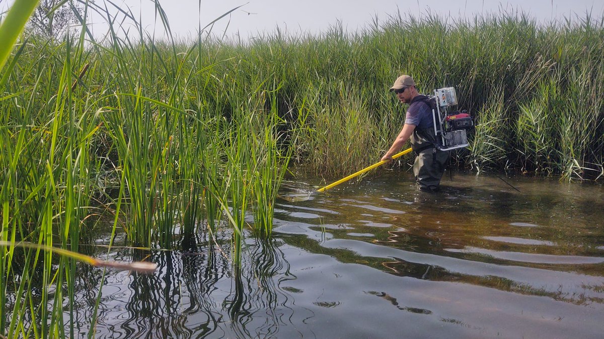 Humedales Delta Ebro tweet media