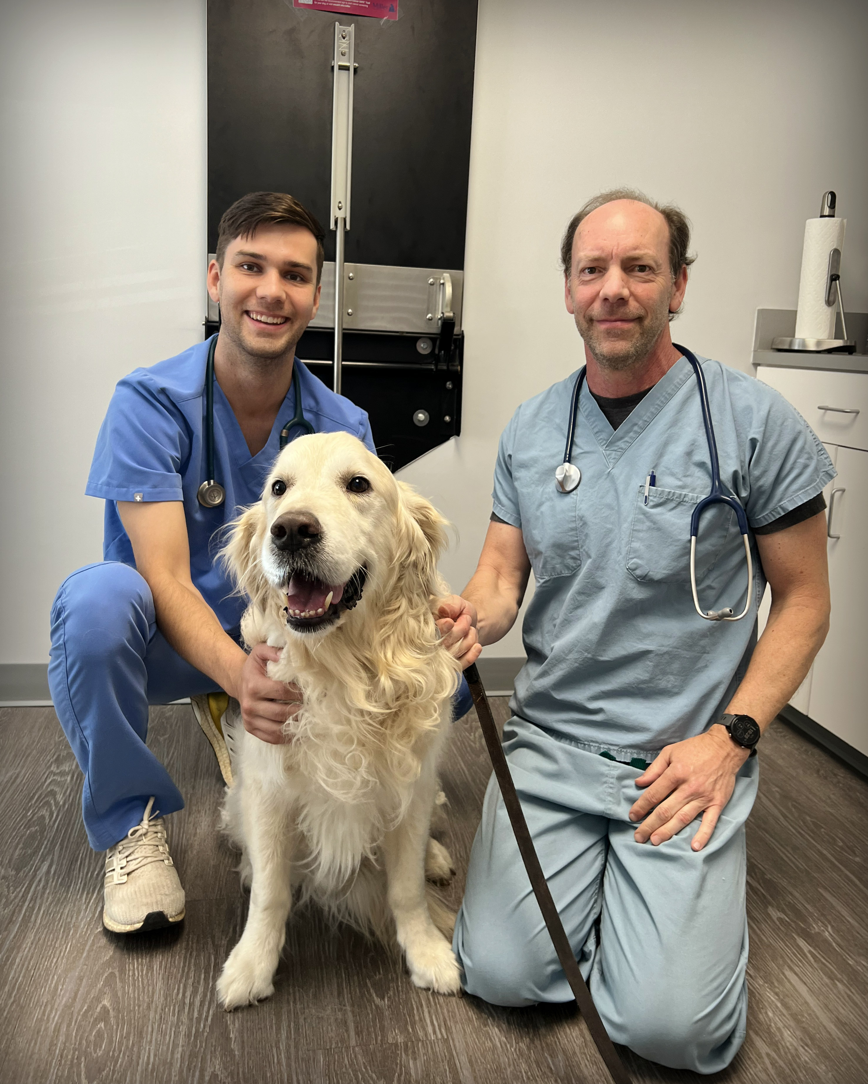 The Duncan Dog on Twitter "I went to the VET yesterday for my annual