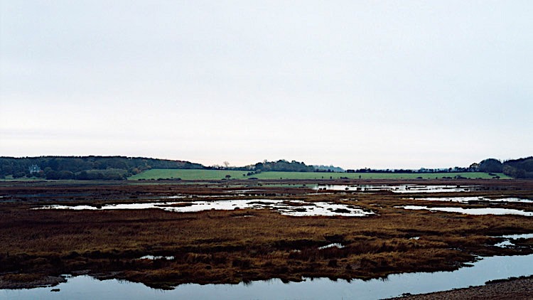 <a href="/guy_moreton/">Guy Moreton</a> ... <a href="/robgmacfarlane/">Robert Macfarlane</a> , @BrianGDillon and <a href="/George_Szirtes/">George Szirtes</a> .

'Waterlog' is a must-read for anyone interested in W.G. Sebald, East Anglia, nature writing, and the featured artists. Head to the FVU website to purchase your copy now!  👉 buff.ly/3rpFTli