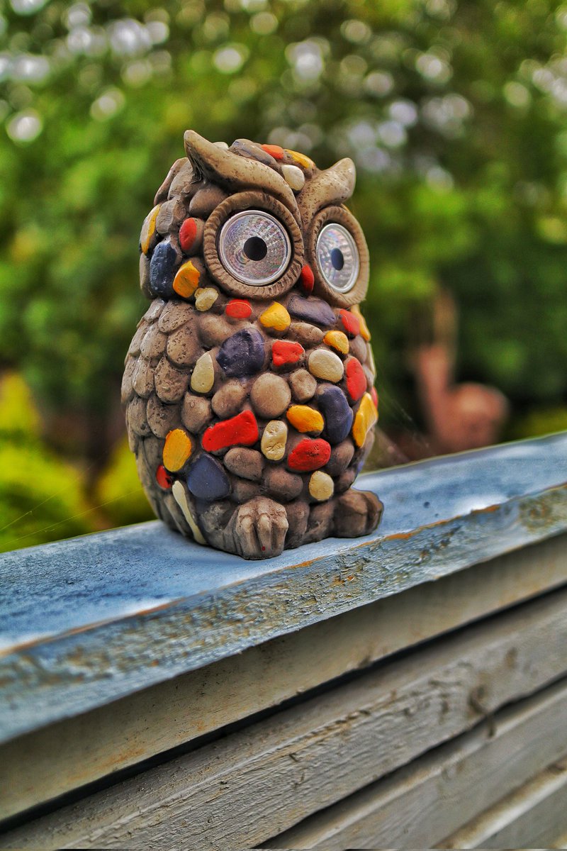 jackbeard007's tweet image. The @CanonUKandIE R6 is something else entirely

#canonphotography #photograghy #nature #Threads #HuwEdwards