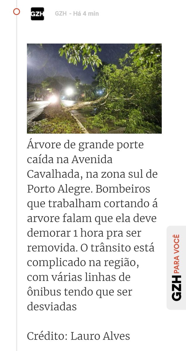 Estragos do temporal!