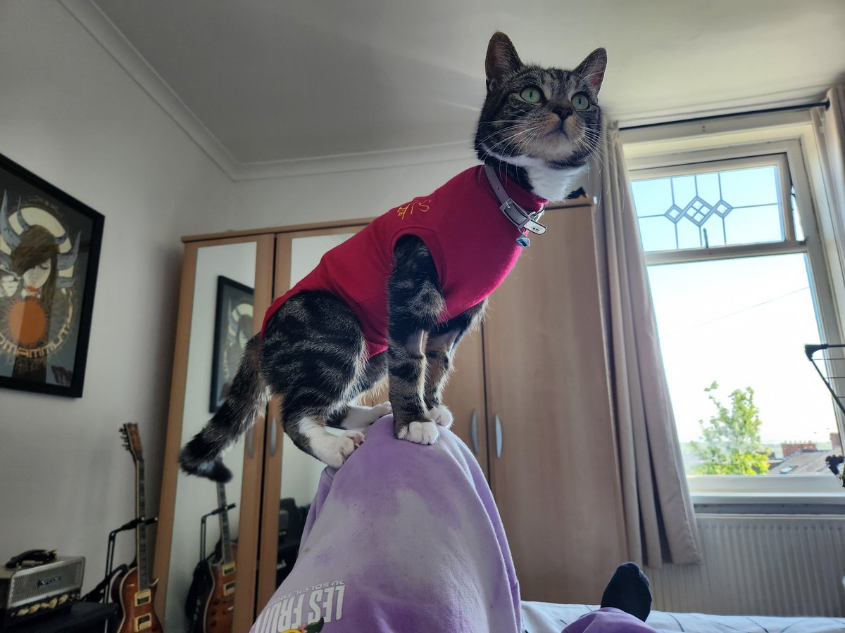 Dionisius 🔜Manchester Major tweet media