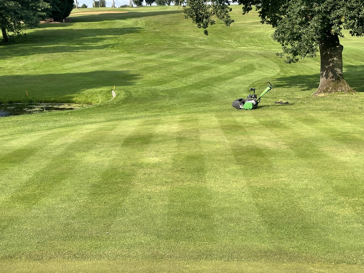 GolfLutterwort1's tweet photo. Got to love a deer.
Great hand mower nice sharpe stripes. @FarolTurf @JacobShellis https://t.co/WDbHguJ38Y