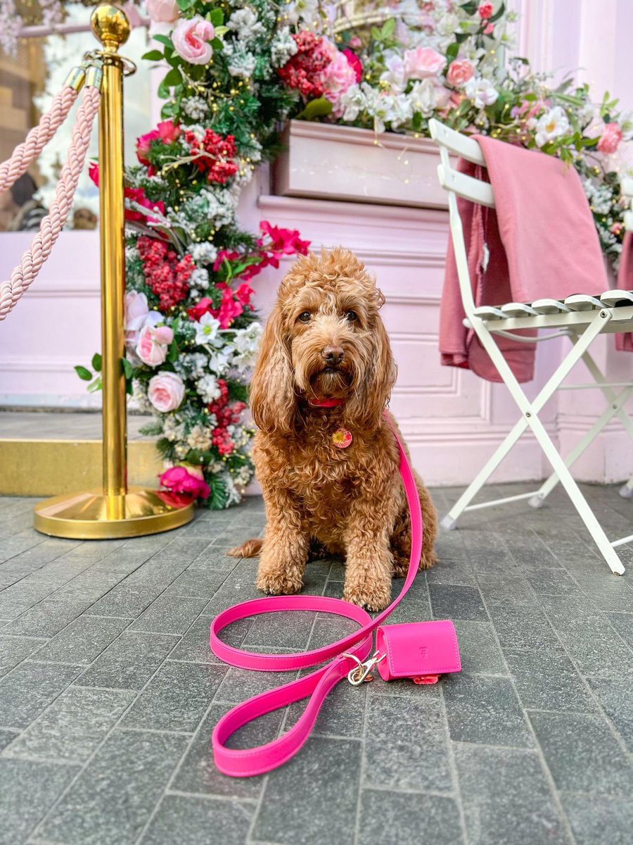 tailsandbloom's tweet photo. Itโs time to get your โPINK ONโ ๐
Weโre paying homage to the #Barbie movie & we think our Dragonfruit Pink is just a pawfect way to style out your bestie ๐ถ๐พ
whoโs with us? ๐๐ธ๐๐ปโโ๏ธ๐ฉท
#DogLover #Dogsoftwitter #DogLife #pink #SmallBiz #dogs #dogcollar #Dachshund #btposse #cutedogs #BarbieMovie #dogsofinstagram #dogmum #thursdaymorning
@TheGoodDogGuide @Pink
@Barbie @innocent @ToffTalks @elnlondon @IsabellaDaxie @Celeb_Dachshund @Crufts @itsdougthepug @MillersImage @salsichinhas @Gap @eljonesuk @poopernoodle @Fearnecotton @ScampandDude