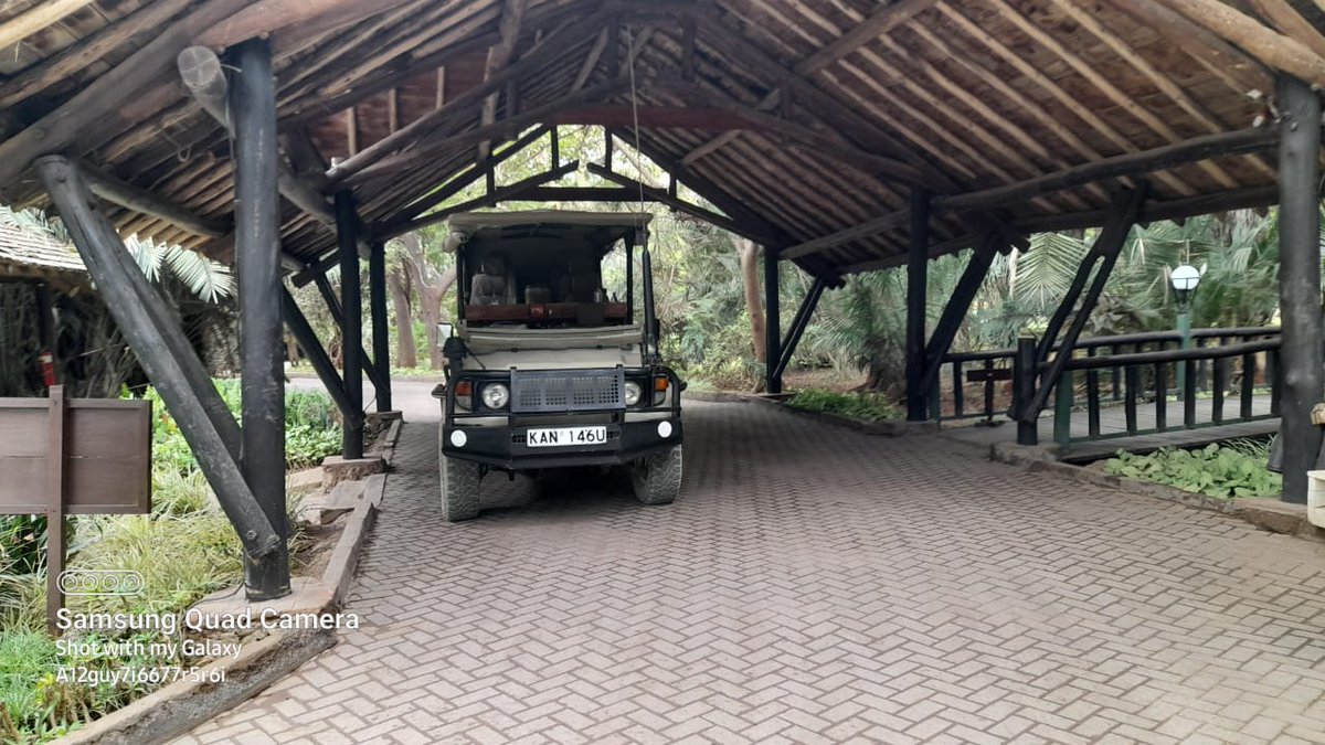 EcotourismP's tweet photo. At @Amboselinp. #gamedrives, #transfers, #Jeep #safaris #SGR transfers. Book this jeep if coming to Amboseli by Air, self drive or SGR https://t.co/SrnqnpUtrV