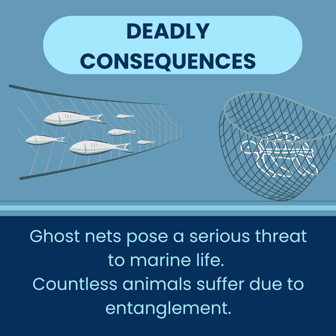 Healthy Seas tweet media