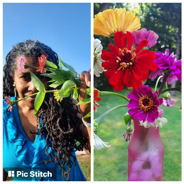 SydnyeWhite's tweet photo. On the way to my son's school (in the countryside - I mean we pass a Bison farm!), there's a yard sign that says "FREE FLOWERS." Why, thank you kind farm owner for a little color in my writing area.
#ramdomactsofkindness #selfcare #writerslife #writingjourney #picstitchapp https://t.co/xkP8t59xZP