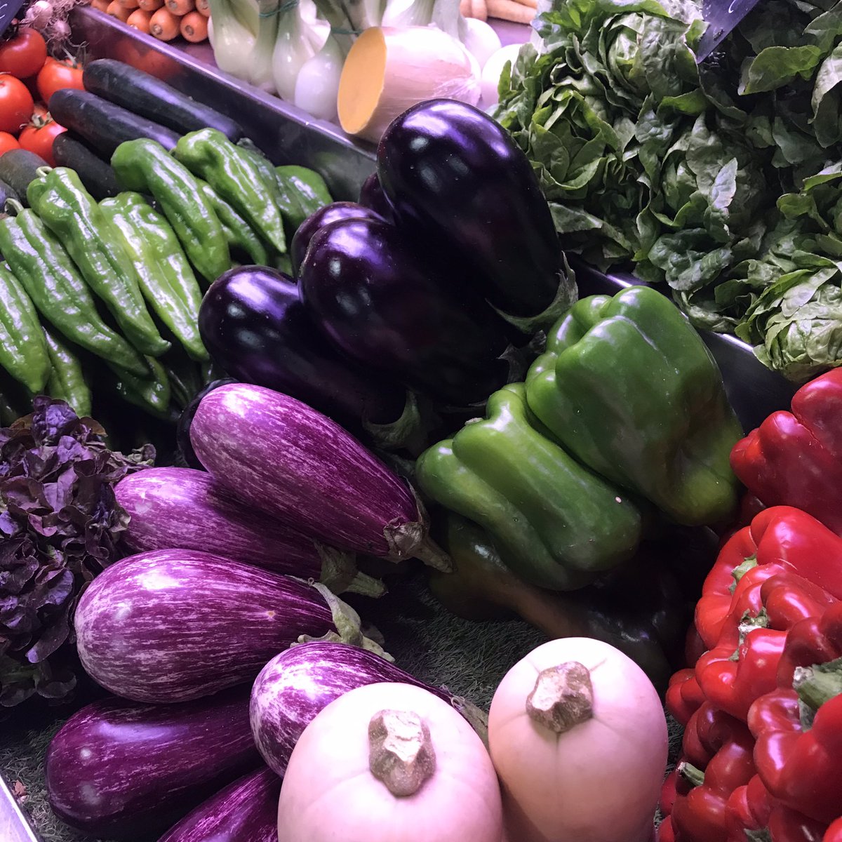 seasonedEU's tweet photo. SEASONED Summer School continues with the visit at the Alicante local market. It’s important to check variety of products and local methods of food preservation. #SEASONEDProject https://t.co/lYGwU83wXM