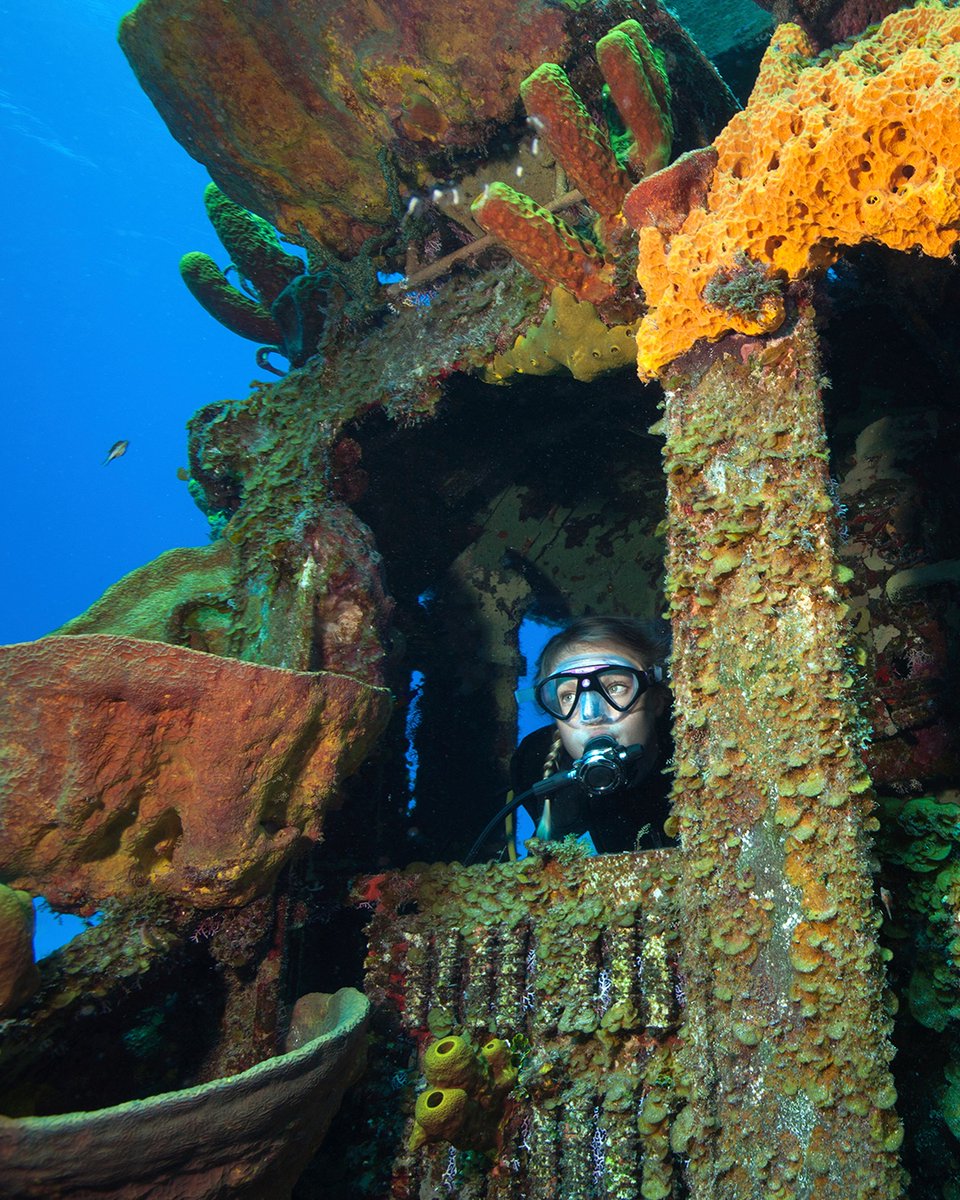 SDIdivers's tweet photo. My favorite place to dive is _____ ππ΄ππ π
#SDIdivers #wearescubadiving
#localdiving #beachlife #scubadivingfun https://t.co/dT7BbRIsqc